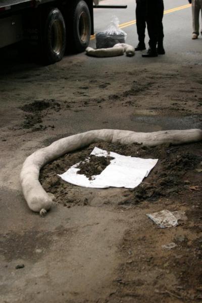 The fire department sealed off stormwater drains so that the oil could not flow into the nearby wetlands along the Weweantic River. BY CYRUS MOULTON
