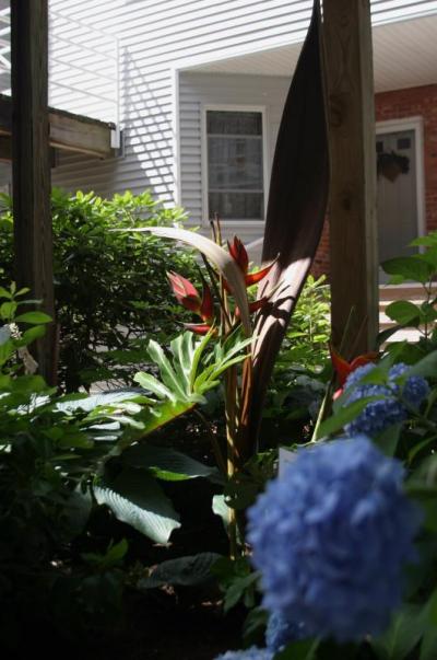 Other displays, such as this creation by Mollie Traggis, were nestled among the shrubbery, providing unexpected bursts of the tropics alongside hydrangea and evergreens. BY CYRUS MOULTON