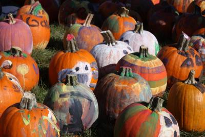Dozens of pumpkins dried on the grass while their decorators enjoyed the rest of the harvest celebration. BY JAIME REBHAN