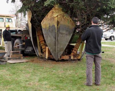 After placing the tree trunk in the ground, the blades separated and were lifted out from around the root ball. BY CYRUS MOULTON