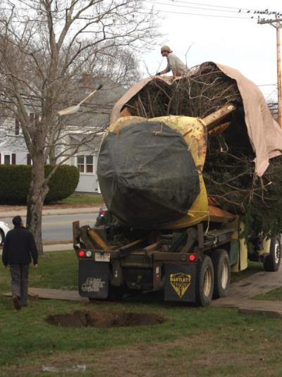 The truck lined up in the exact same spot where it had dug the hole to ensure that the tree was placed correctly. BY CYRUS MOULTON