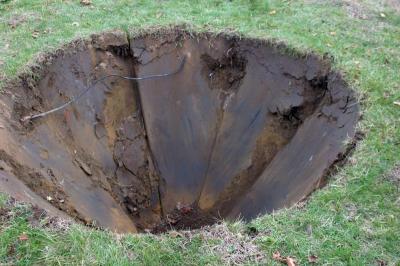 The hole for the tree was dug using the same machine that dug up the tree - ensuring that the tree fit into its new home very snugly. BY CYRUS MOULTON