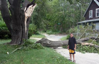 Sean Holmes, son of Selectman Steve Holmes, posed next to a fallen tree on Maple Street Extension in Onset that knocked out power and kept him and his neighbors from leaving their homes. BY JAIME REBHAN
