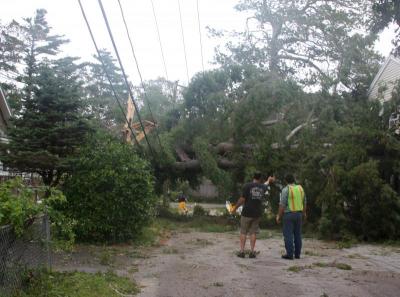 Municipal Maintenance workers removed a tree from a roadway in the Swifts Beach neighborhood. BY JAIME REBHAN
