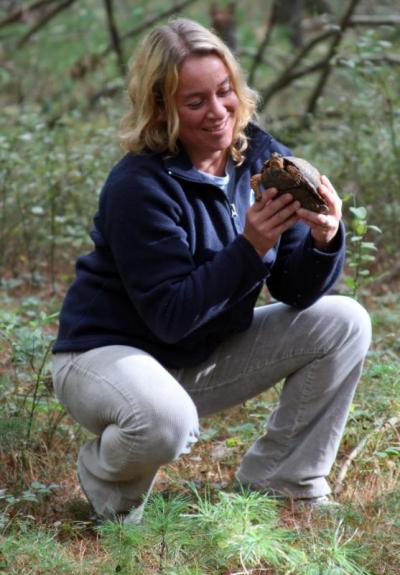 Jennifer Costa of Mass Audubon's Allens Pond sanctuary released the turtle into Great Neck. BY JAIME REBHAN