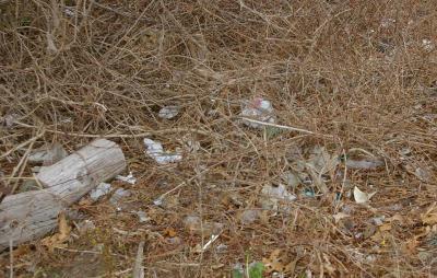 A picture of the litter in the wooded area next to Old Onset Road off of Onset Avenue. BY RISHI SIDHU