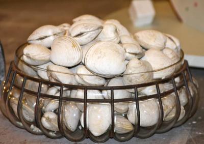 Clams, anyone? Tom Cassella was inspired… and glued these shells back together. "Who in their right mind would do that?" he admits. BY JAIME REBHAN