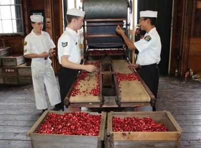 Sean Sing, right, shows Graham Taggart a cranberry picked off an old-fashioned separator that was on display. Both are members of the Sea Cadet Corps based out of Massachusetts Maritime Academy. Many Corps members volunteered to help at the festival. BY MATTHEW BERNAT