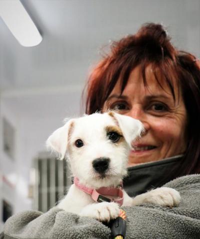 Although Peanut was too young to get a rabies vaccine, he received microchip which contains pet’s identification number. Photo by: Nadya Korytnikova