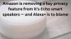 Echo Privacy