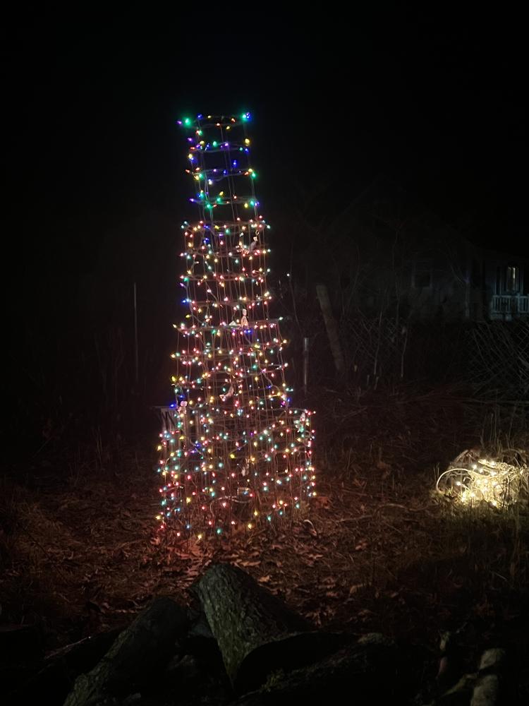 Jennifer made this “Christmas tree” out of tomato cages.