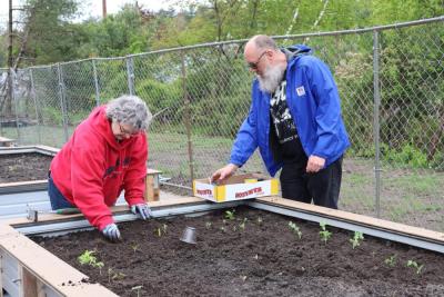 Dixie and Matthew Hill work in their community garden bed at Damien’s Pantry in 2024. File photo