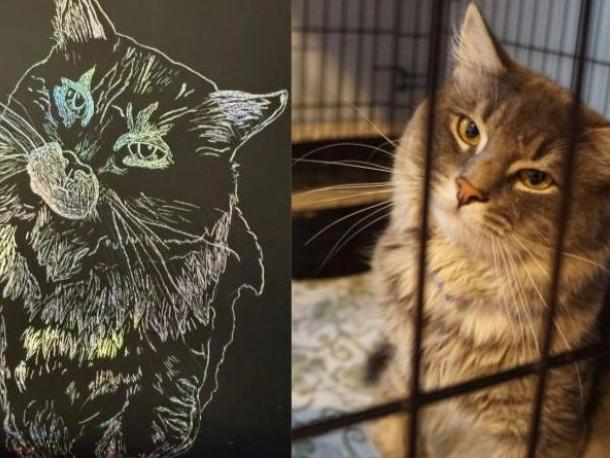 Kiko the cat who is energetic and funny, drawn by Aniya Chavis. Photos source: Wareham High School