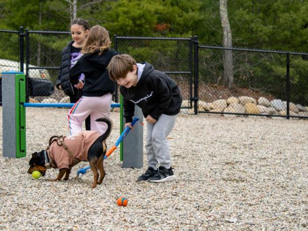 Grayson, 6, giggles with a tennis ball launcher in hand at the Wareham Dog Park on Saturday, April 18. Photos by Grace Roche