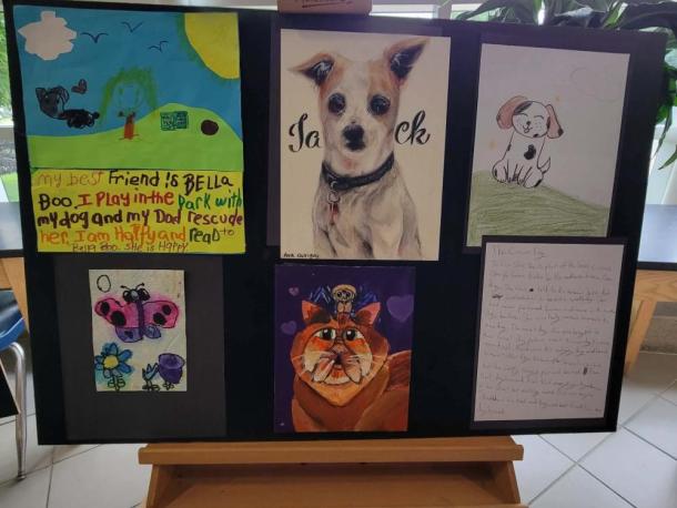 Some of the winning entries.