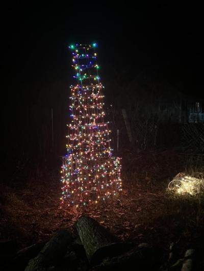 Jennifer made this “Christmas tree” out of tomato cages.