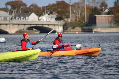 These crustations cruise above the water instead of in it.