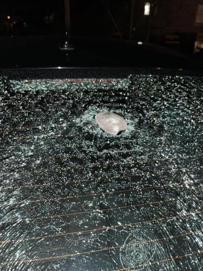 The impact hole made by the quahog.