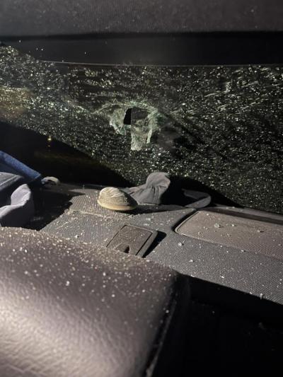 Sea the damage of the feathery criminal. Photos source: The Wareham Department of Natural Resources