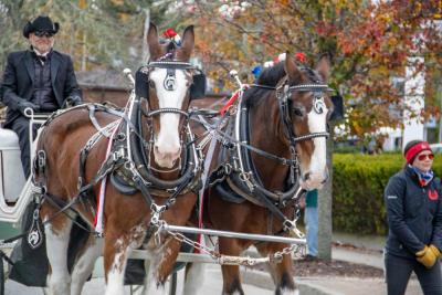 Equestrians show pride for the Nation.