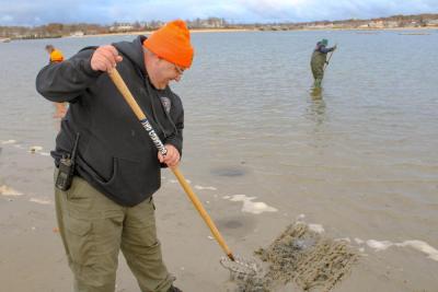 Getting in on the action and showing how you can shellfish from the shore is Harbormaster Garry Buckminster.