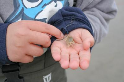 Some people like Aaliyah Viria caught more than quahogs.