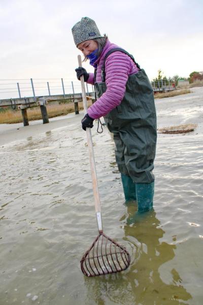 From guest to shellfisher.
