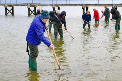 Julie McKay digs deep.