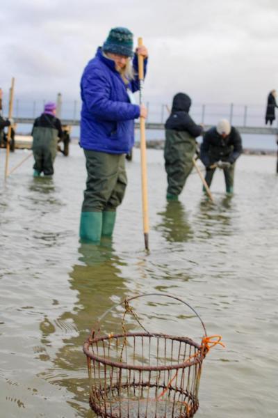 The buckets await fresh quahogs.