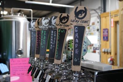 The Lucky Goat's taps. Photos by Brandy Muz