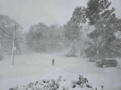 A lone Warehamite in Parkwood Beach. Photo source: Lauren Timmons