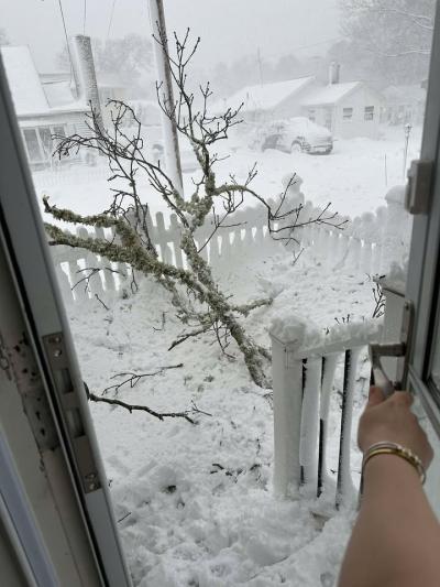 A home in Swifts Beach felt the impact of the storm with a large branch in its front yard. Photo source: Brit Thompson