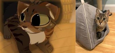 The curious-looking Neveah, drawn by Madison Westgate.