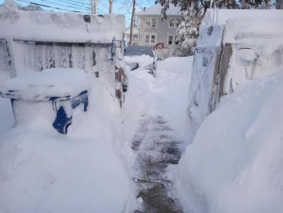 Fence-level snowfall. Photo source: June Rose