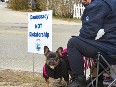 Maeve the dog attended the protest with her owner Alan Hesse.