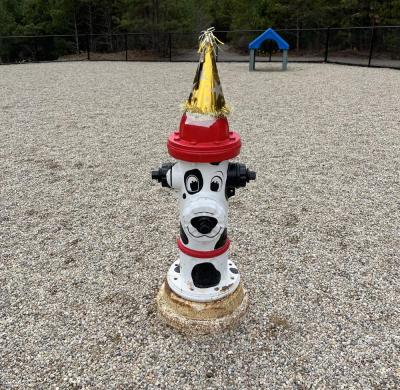 Park mascot Wayne at the 2025 PAWty. Photo source: Sally Morrison