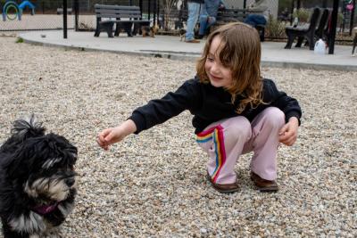 Alaina Paras, 5, reaches for a cuddly puppy. 