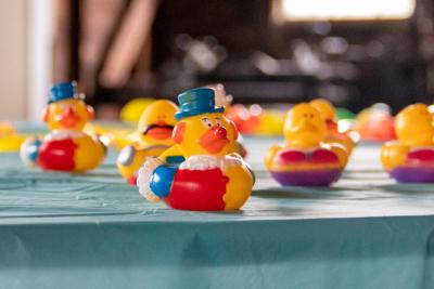 A very patriotic duck looks ready to race in 2025. File photo