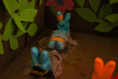Peeps outlast competitors in the Survivor themed diorama.