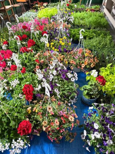 Hanging baskets made available.