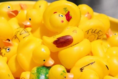 A bushel of ducks.