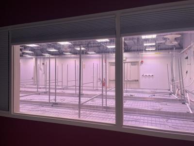 The grow room soon to be filled by marijuana plants.