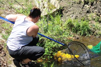 Kat Jones corrals some ducks. 