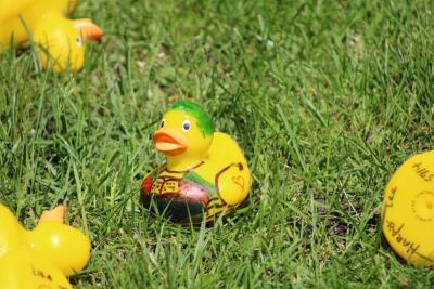 Ducking around in the grass.