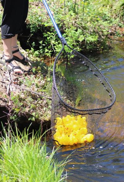 Kat Jones scoops up a bunch of ducks.