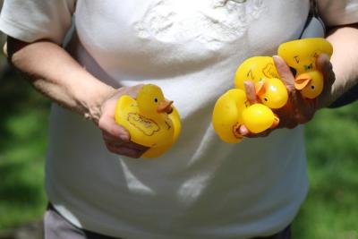 A handful of ducks.