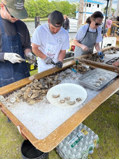 Oysters