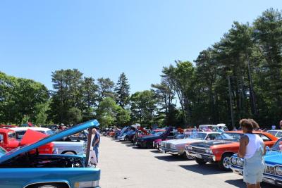 Cars in rows