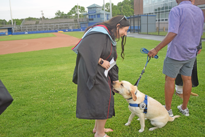 A staff member pets the Wareham Police comfort dog. 