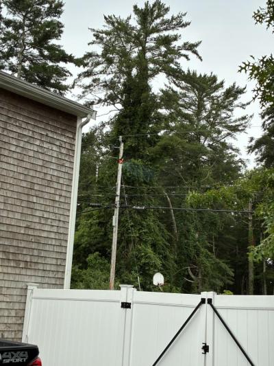 Fire burns on the utility pole. Source: Laura Taylor